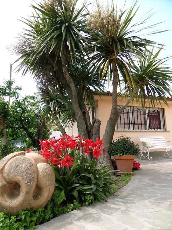 B&B Villino Lory Marino Zimmer foto